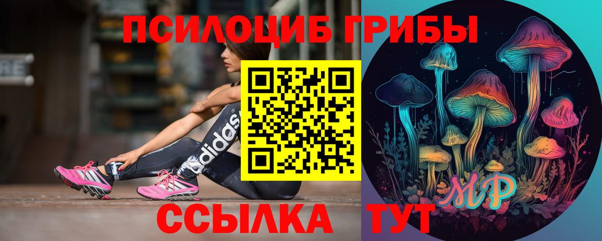Малгобек  Псилоцибиновые грибы Magic Shrooms  где купить наркоту  Вход с VPN  Галлюциногенные грибы Magic Shrooms 